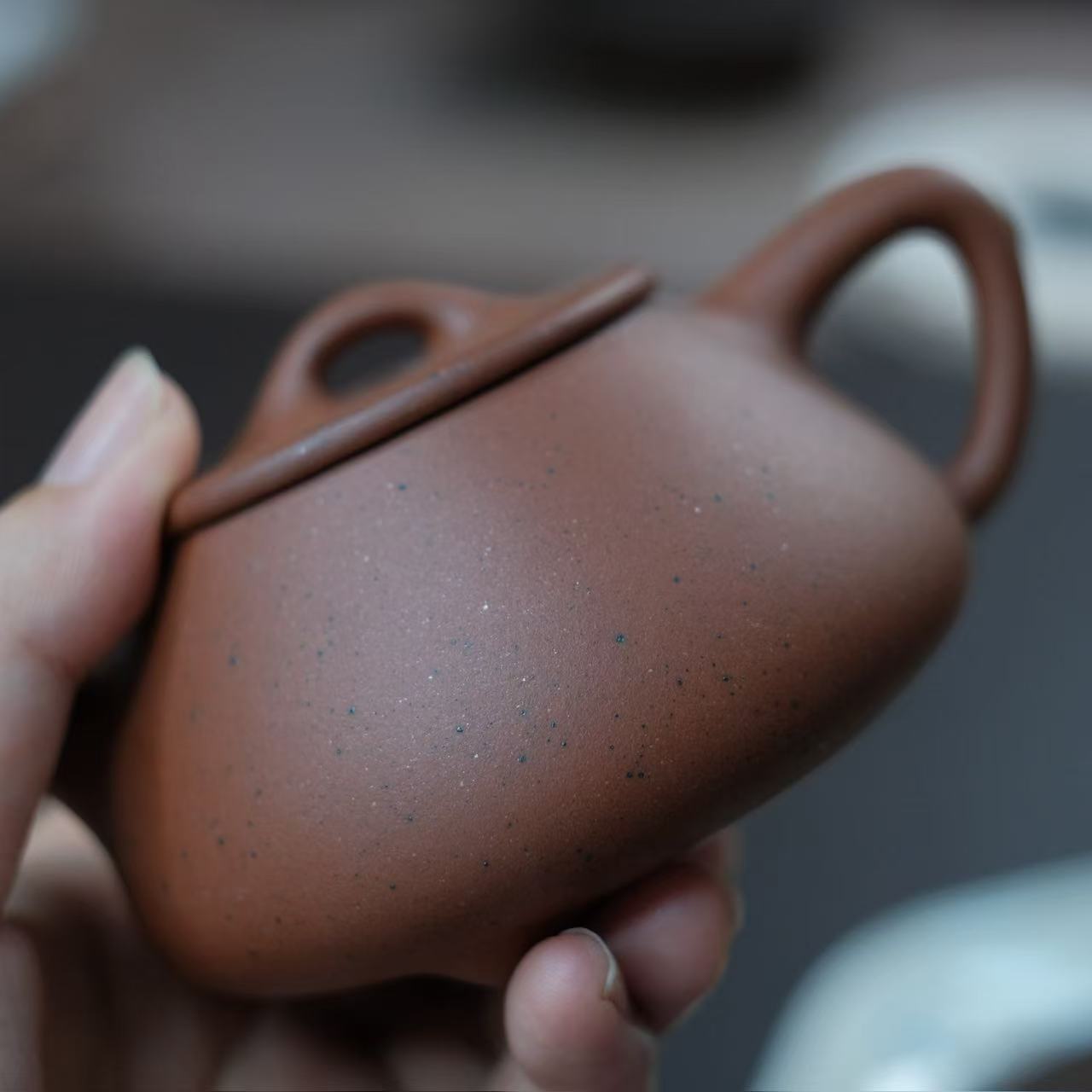 Handmade teapot-Zhu ni series-Ping gai shipiao-180ml