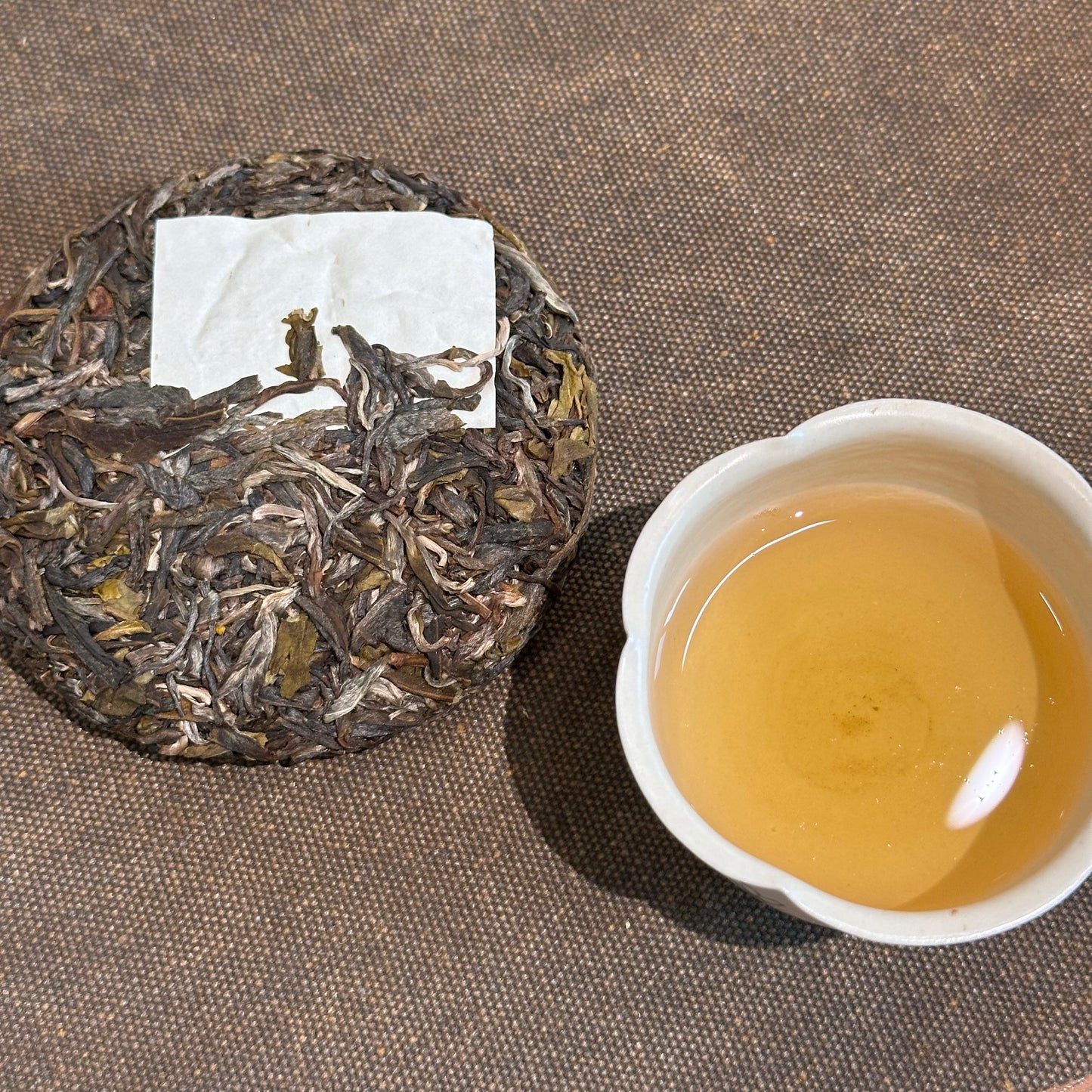 2026Lao Banzhang Sheng Pu’er · Mixed Harvest(From Our Own Tea Garden)
