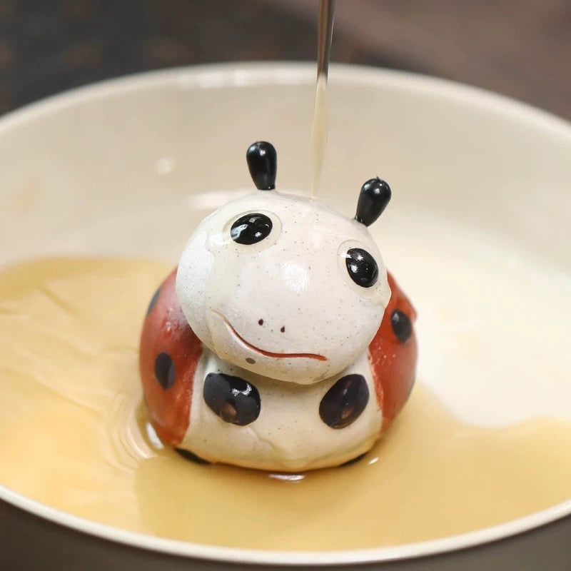 ladybird tea pet (Have been blessed)