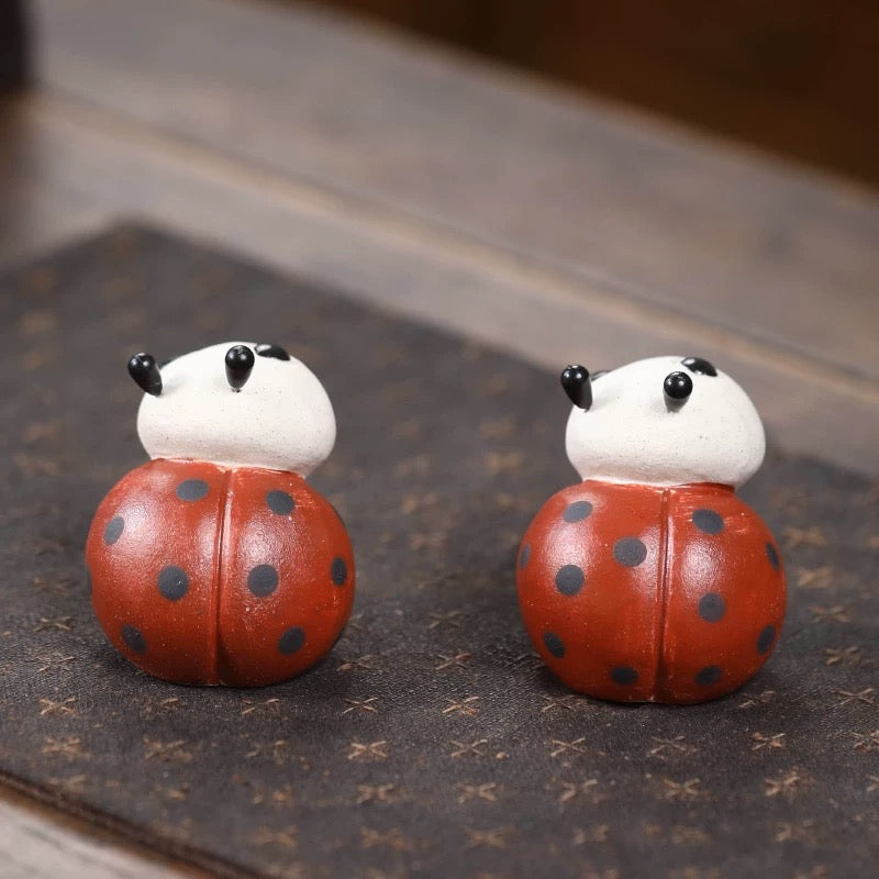 ladybird tea pet (Have been blessed)
