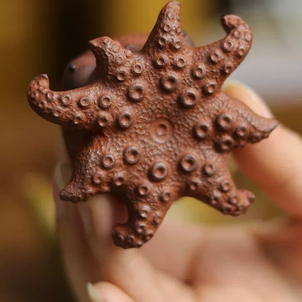 Octopus tea Pet (Have been blessed)