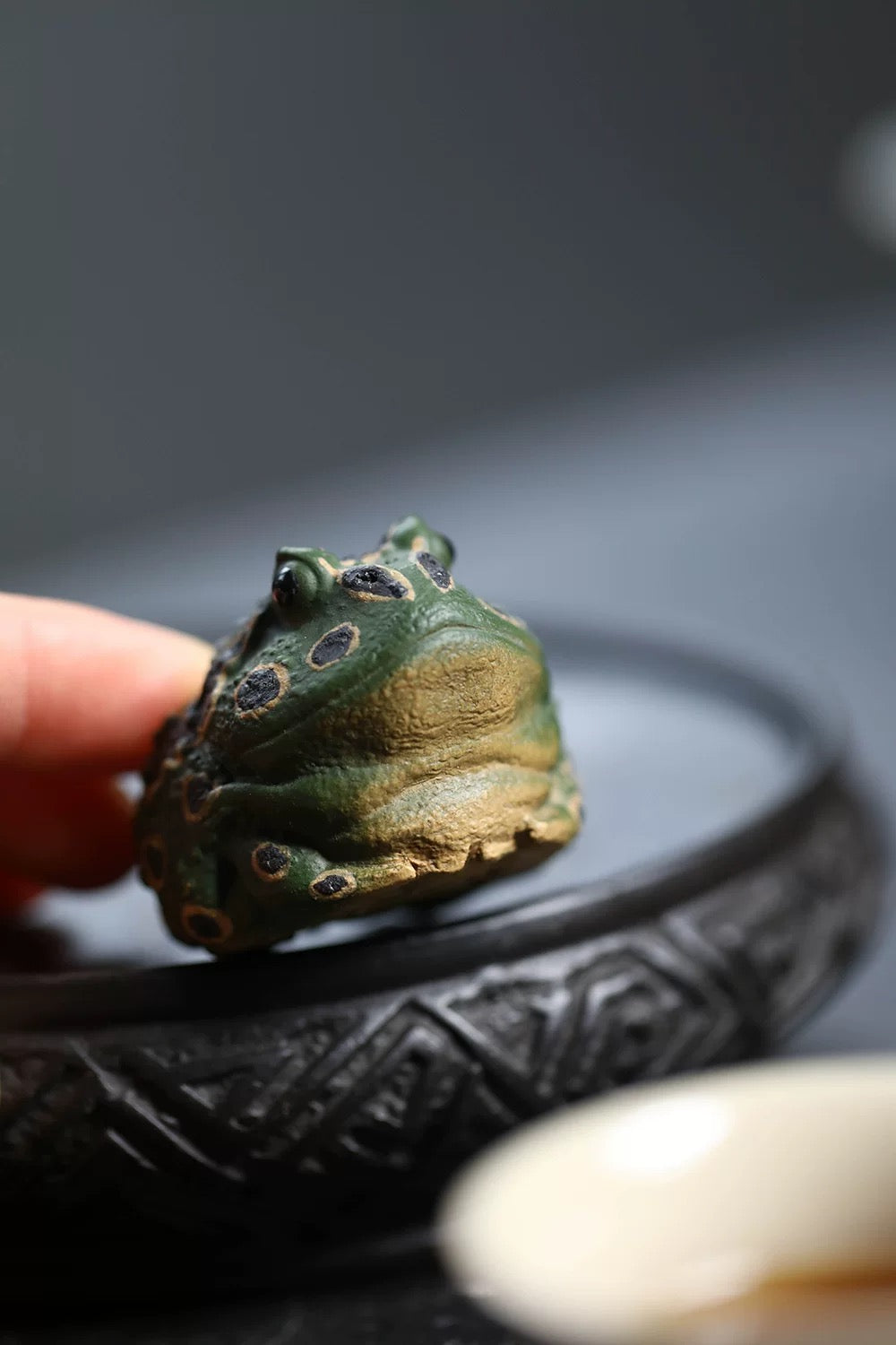 Purple sand Frog tea Pet (Have been blessed)