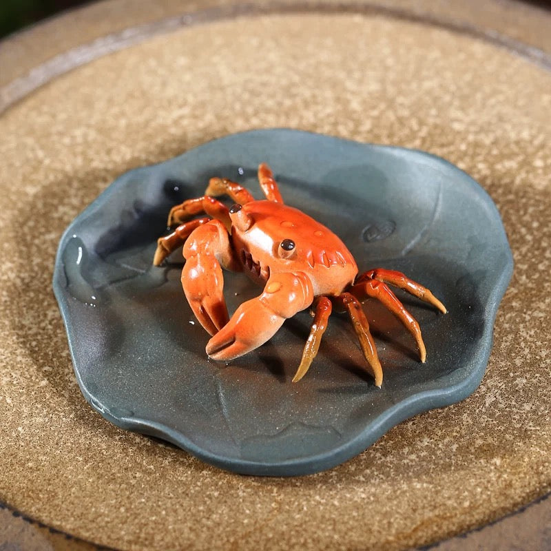 Purple sand discoloration Crab tea Pet (Have been blessed)