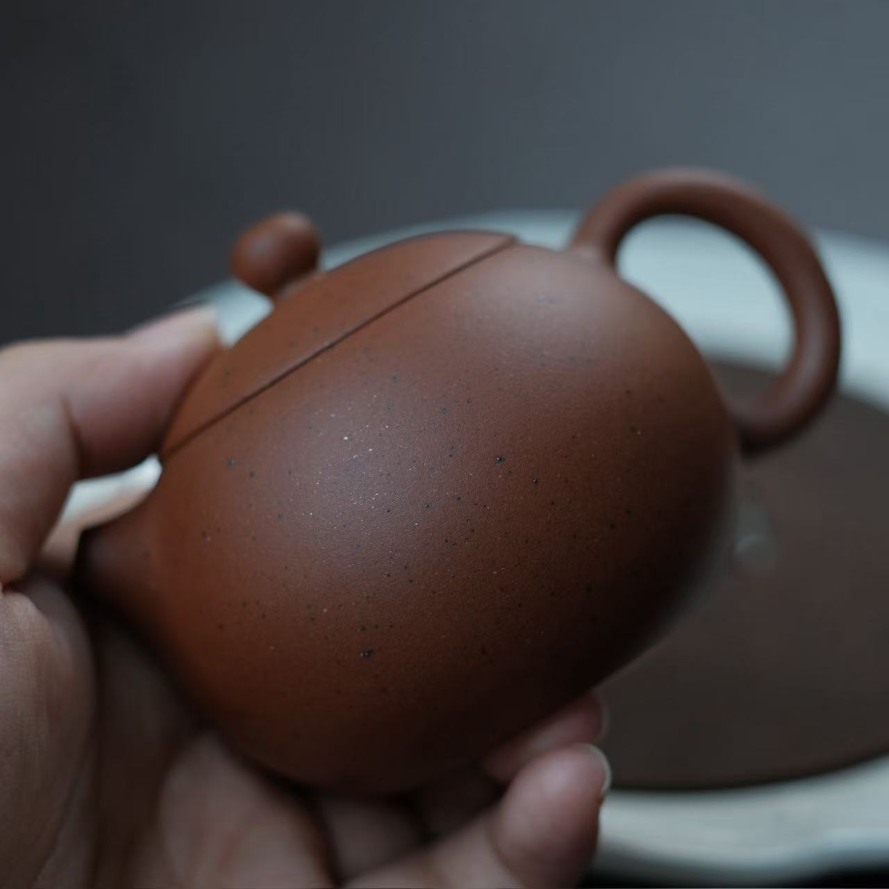 Handmade teapot-Zhu ni series-Xi shi-140ml